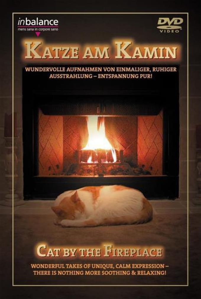 Cat By The Fireplace