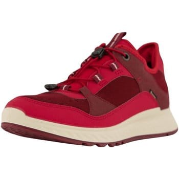 Sneakers Ecco -
