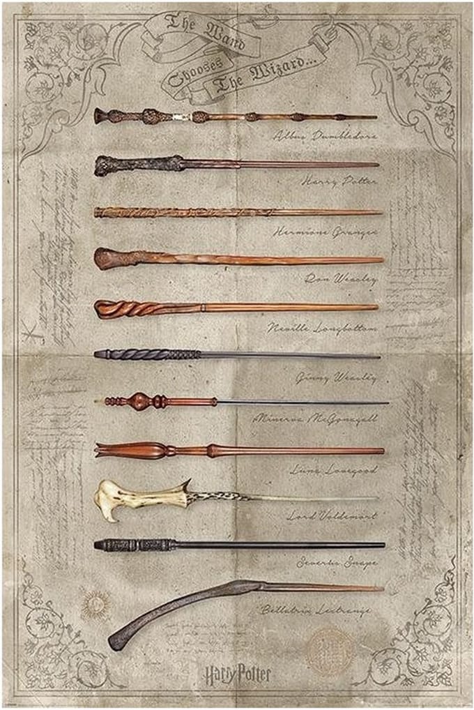 Harry Potter - The Wand Chooses the Wizard