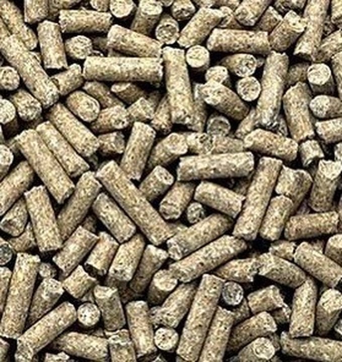 Eckhardt Biva vleesvarkenbrok 20 KG