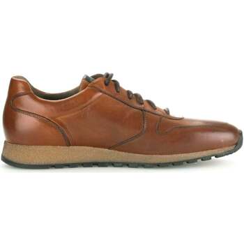 Pius Gabor 0496.13.10 - heren sneaker - Bruin - maat 39 (EU) 6 (UK)