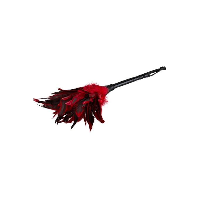 'Frisky Feather Duster'
