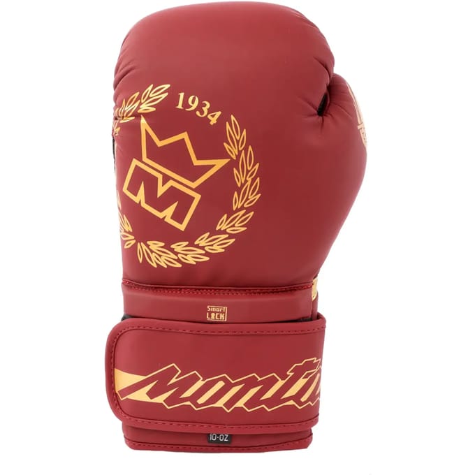 Trainingshandschoenen voor boksen Montana Energy Legend