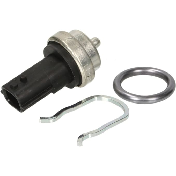 Temperatuursensor CALORSTAT BY VERNET WS3019