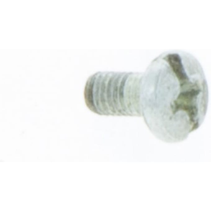 Screw