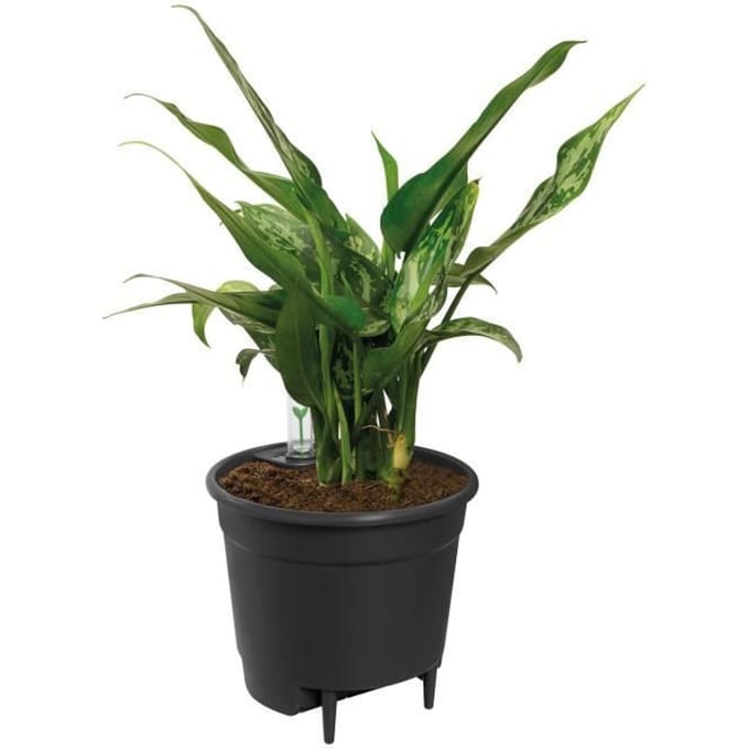 ELHO Pot a fleurs Self-watering Insert - Ø 33 x H 31 cm - Intérieur, accessoires - 100% recyclé - Noir
