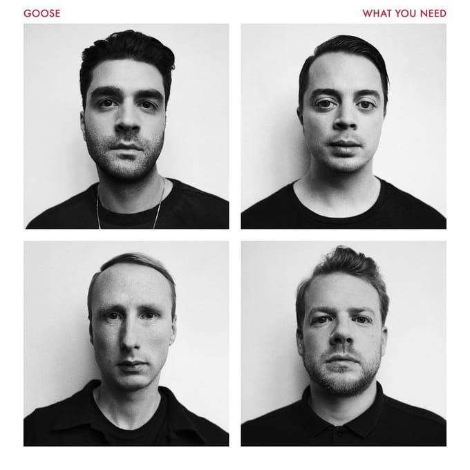 Goose - What You Need (LP) (Coloured Vinyl)