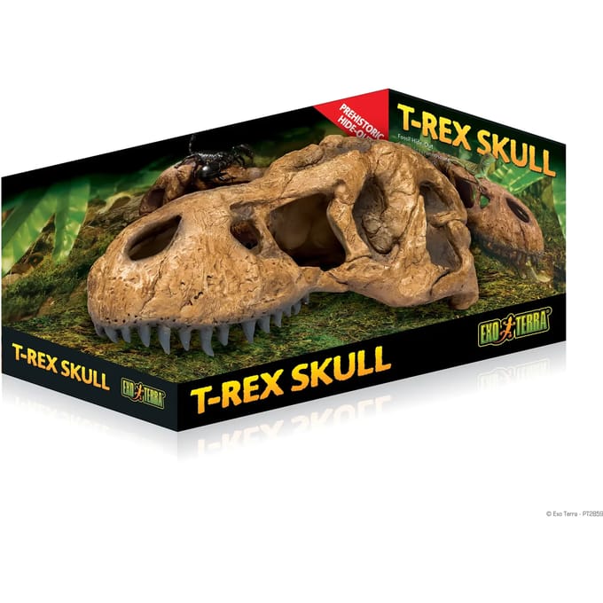 Fossielen schuilplaats decoratie kit Exo Terra T-Rex Skull