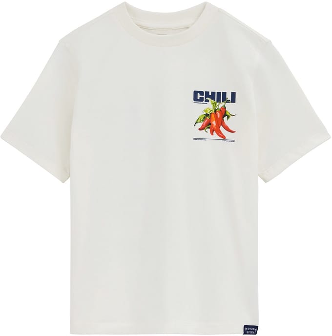 WE Fashion Jongens T-shirt met print
