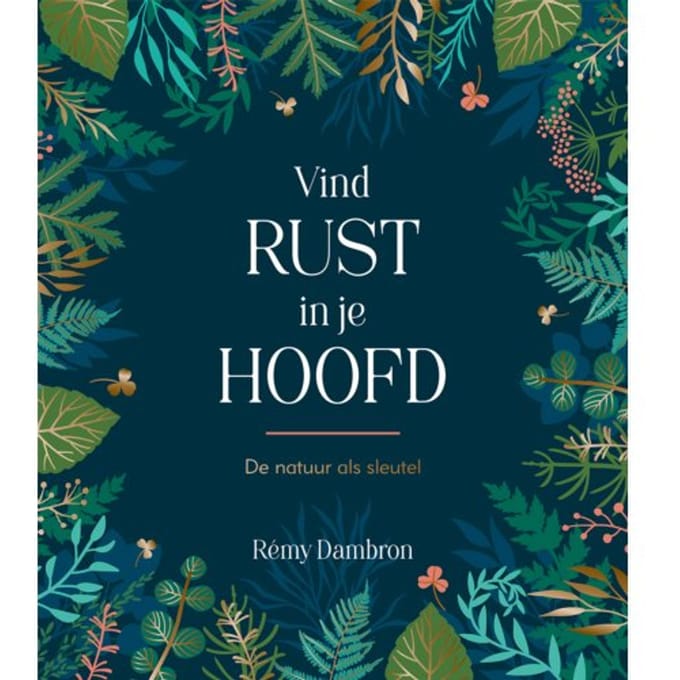 Vind Rust In Je Hoofd - Rémy Dambron