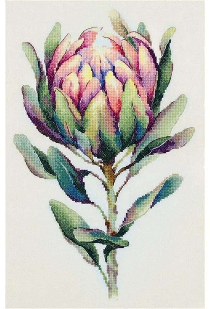 Borduurpakket Protea
