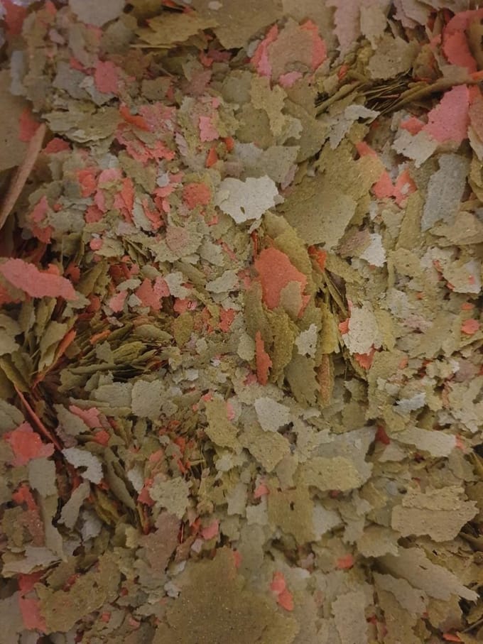 Malawi cichliden vlokken 80 gram
