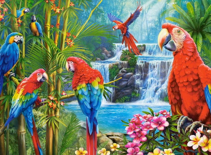 Castorland puzzel Parrot Meeting - 2000 stukjes legpuzzel.