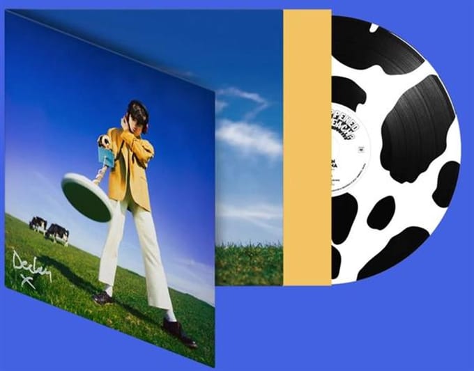 Declan McKenna - What Happened to the Beach? (Black & White Picture Disc LP)
