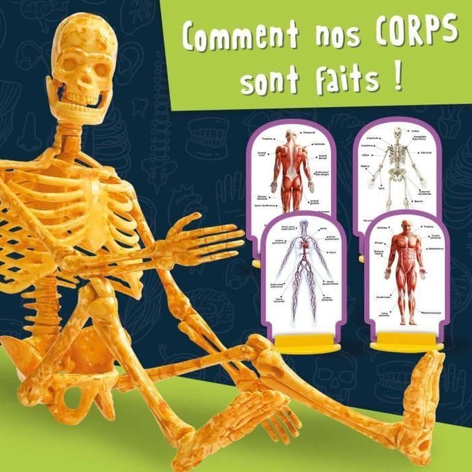 Lisciani - Science - pocket - a la decouverte du corps humain - Fr