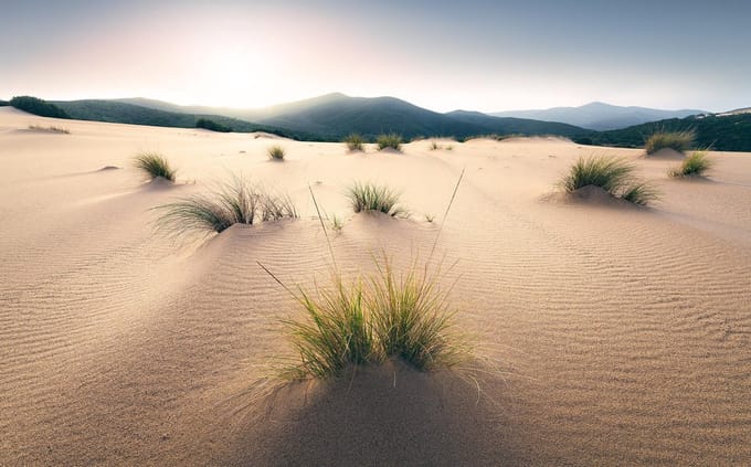 Vivid Fotobehang Dunes - Meerkleurig - 2,80m X 450cm
