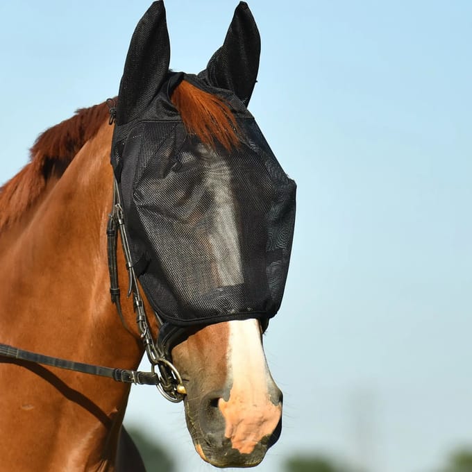 Vliegendek voor paard Equilibrium