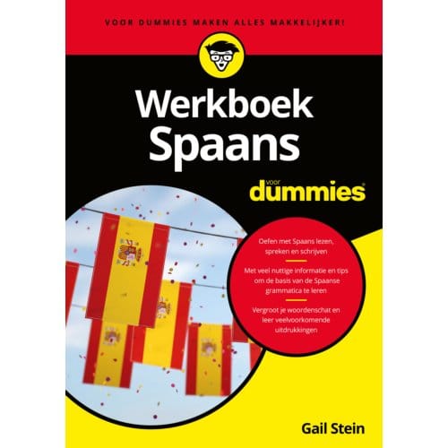 Werkboek Spaans Voor Dummies - Voor Dummies - Gail Stein