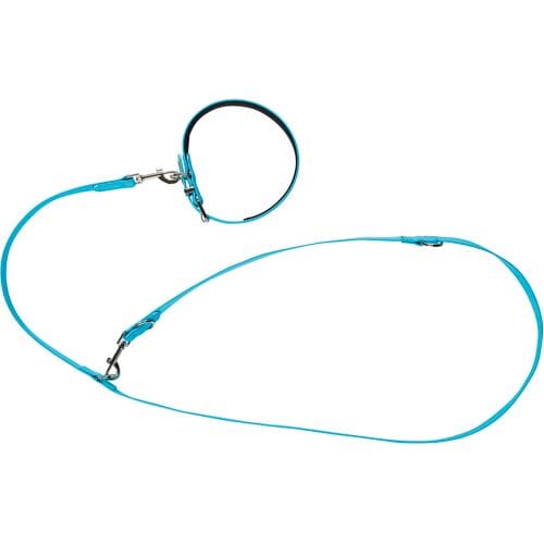 zoofari Hondenhalsband en -lijn (L)