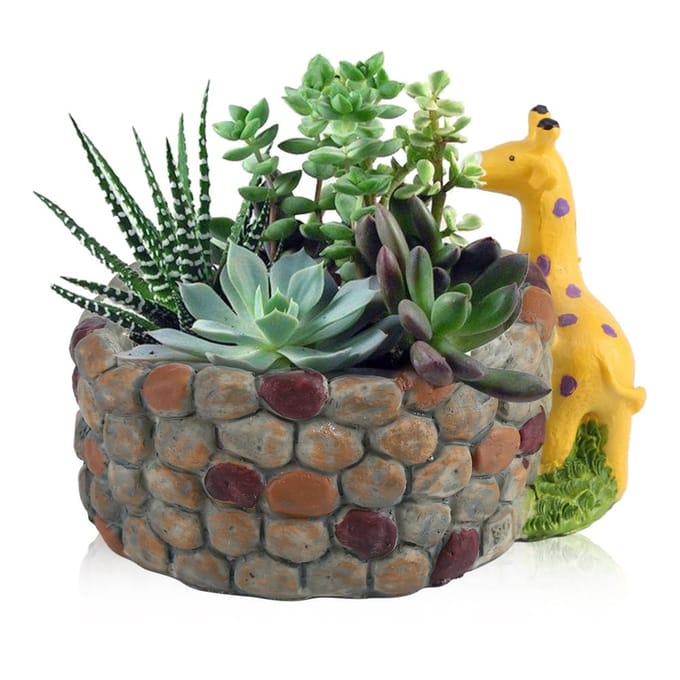 Creatieve Hars Succulent Plantenpot Container Kruiden Bloemenmand Huis Tuin Decor Giraffe black