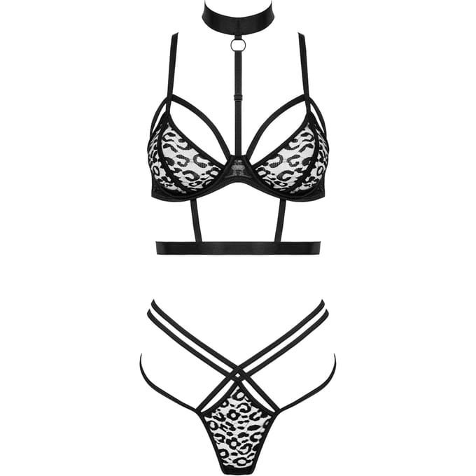 Kotek Set TP106