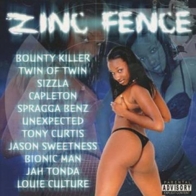 CD DIVERSEN - Zinc Fence CD96233 Mo Fire 2002 VS Reggae, Ska & Dub