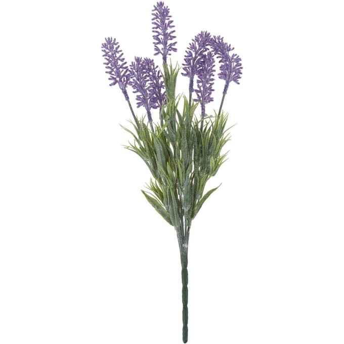VBS Lavendel pluk "Lavendula"