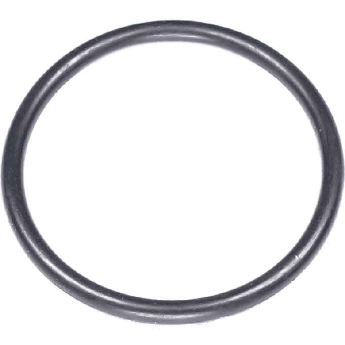 O-ring