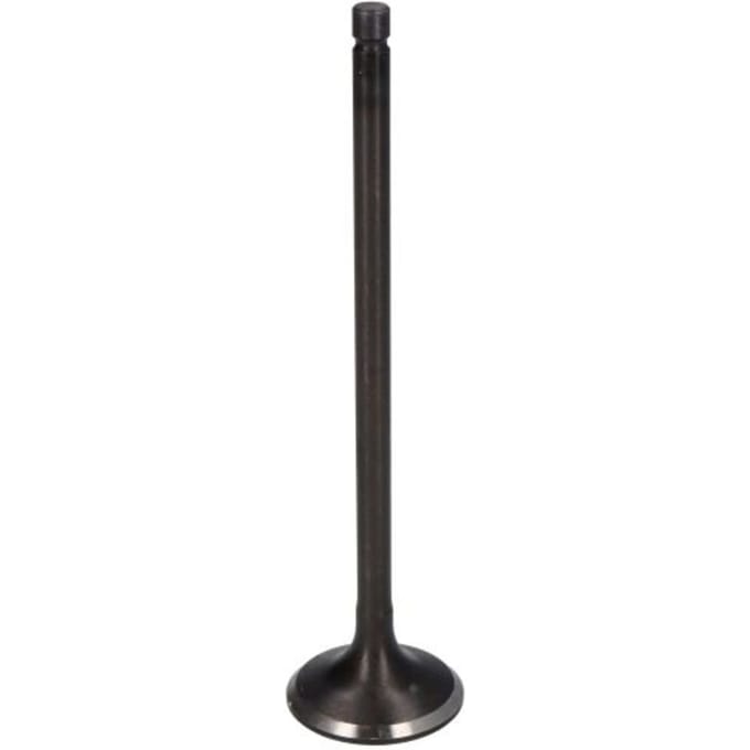 Inlaatklep FRECCIA R4900/SNT