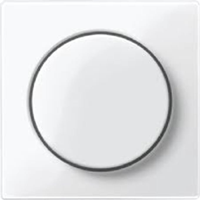 Schneider Electric Merten Systeem M Schakelelement/Centrale Plaat - MTN5250-0319 - E34P4