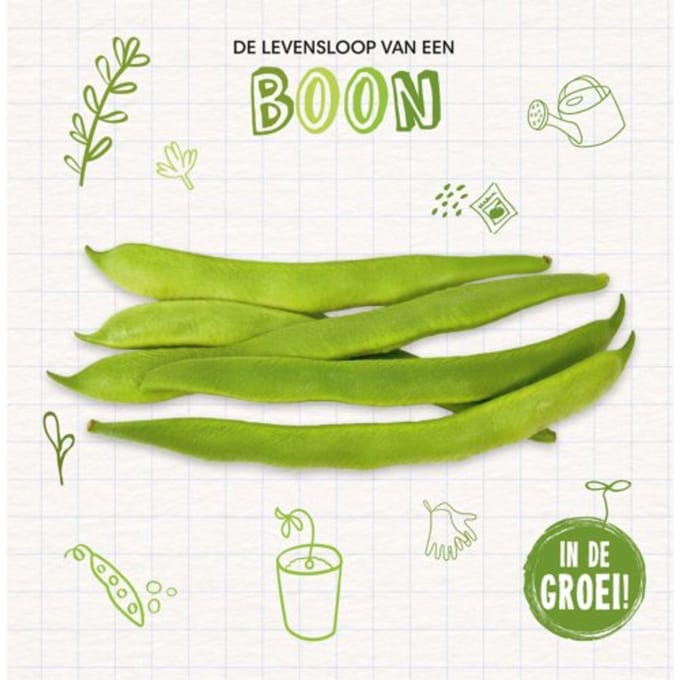 Boon - De Levensloop Van Een - Kirsty Holmes