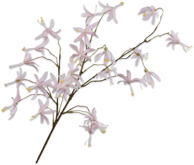 Silk-ka Kunstbloem-Zijden Bloem Orchidee Tak Crème 99 cm