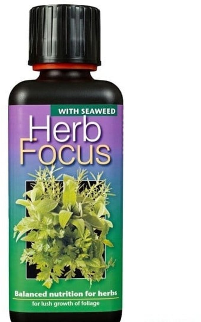 GROWTH TECHNOLOGY HERB FOCUS 100 ML