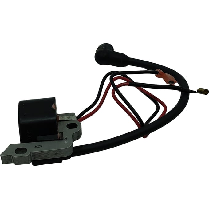 Iginition module