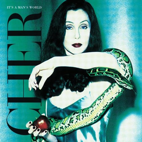 It's A Man's World - Cher