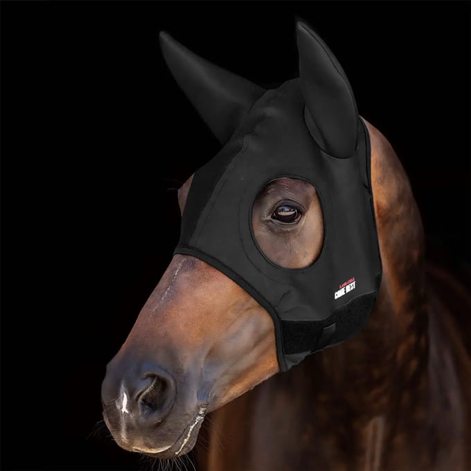 Oordekens voor paard Lami-Cell