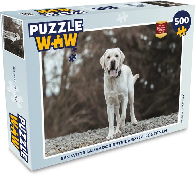 Puzzel Een witte Labrador Retriever op de stenen - Legpuzzel - Puzzel 500 stukjes