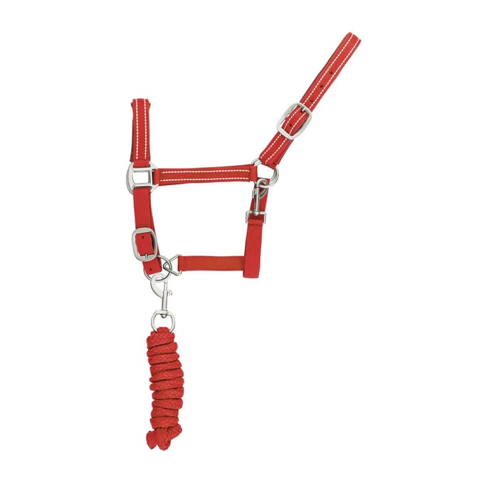 Reflecterende nylon halster en longe voor paarden Supreme