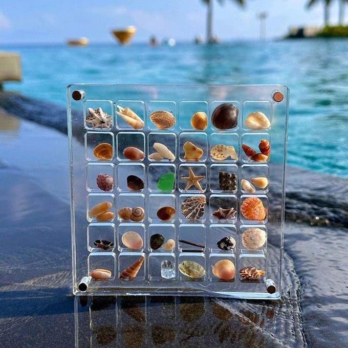 36 Vakken Schelpen Displaydoos Acryl Magnetische Schelpen Display Case Organizer Doos Stapelbaar Klein Knutsels Compartiment Doos schoon