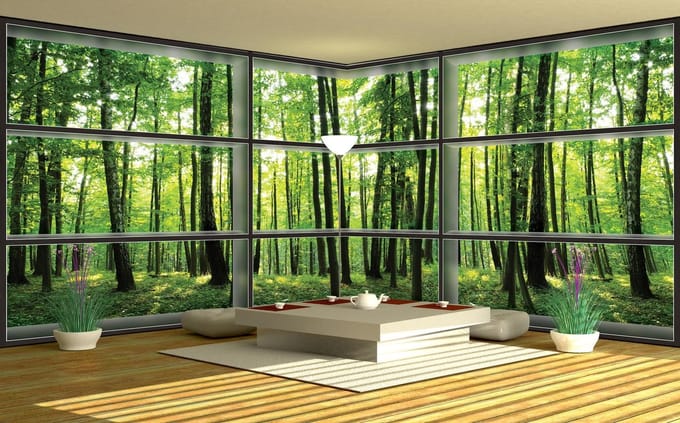 Fotobehang Vlies Bos, Natuur | Groen | GROOT 624x219cm