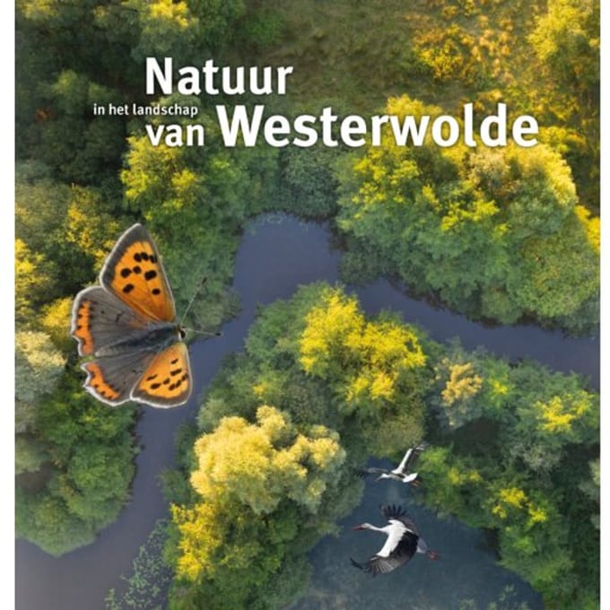 Natuur In Het Landschap Van Westerwolde