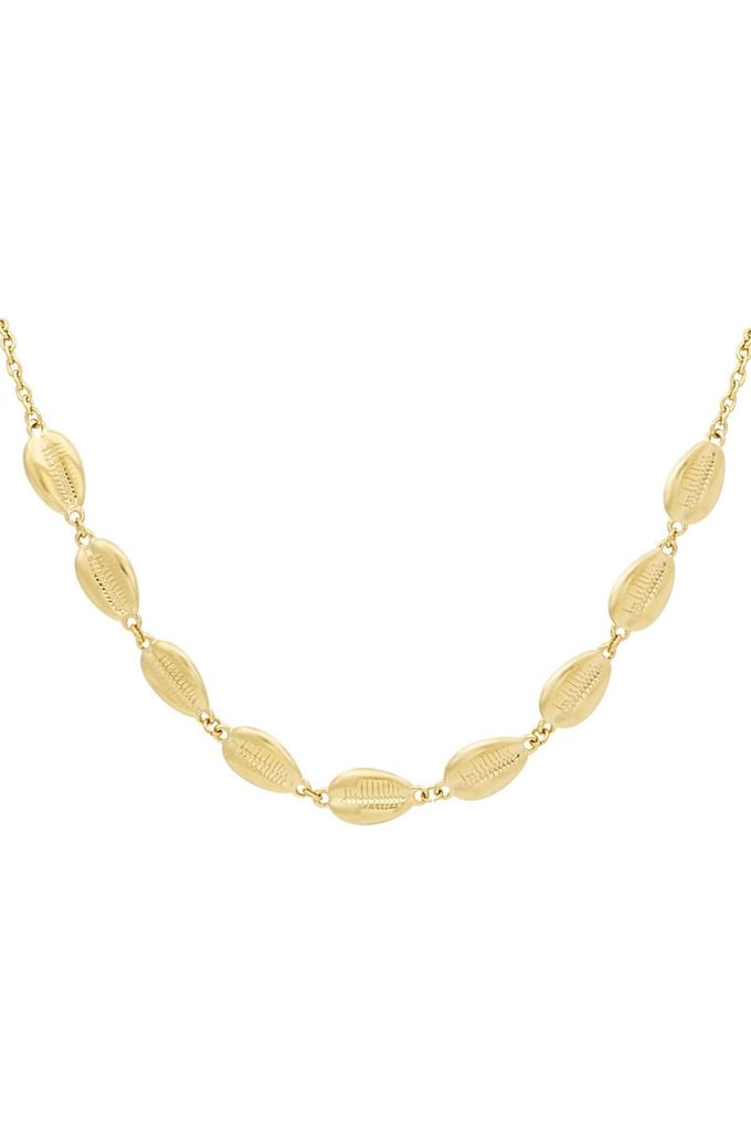 Schelpen ketting - Goudkleur