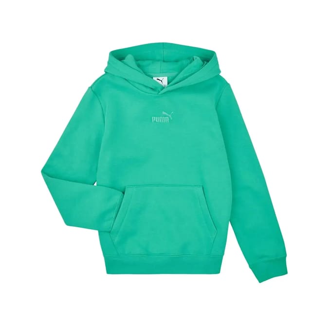 Junior Hoodie Puma ESS Small No.1 Logo