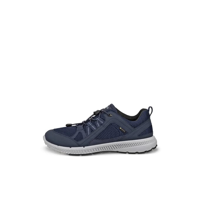 Lage Sneakers Ecco Terracruise Ll W Tex Gtx