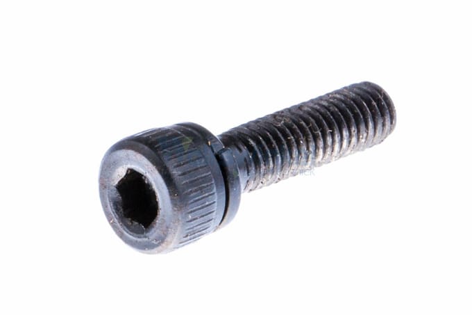 Screw