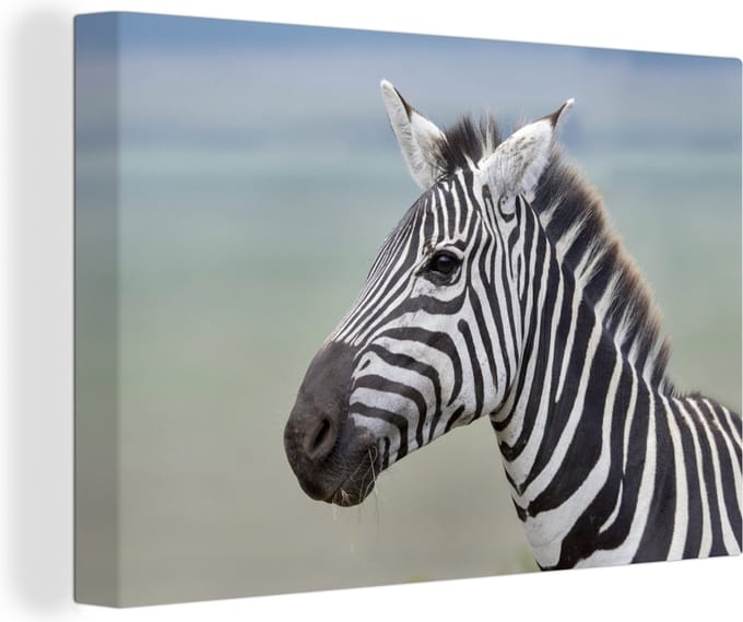 Canvas Schilderij Zebra close-up - 90x60 cm - Wanddecoratie