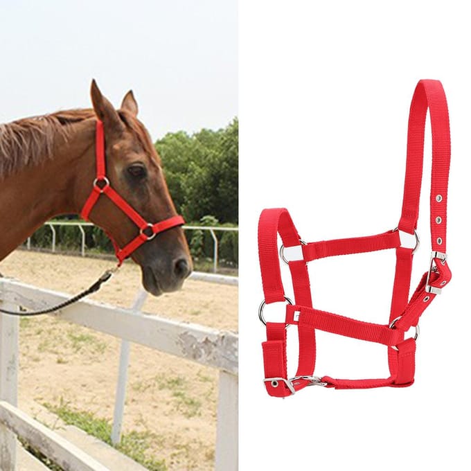 Hoge Dichtheid 6mm Verdikte Webbing Paardentuig Controle Halster Ruitersport Accessoires Rode Kleur red