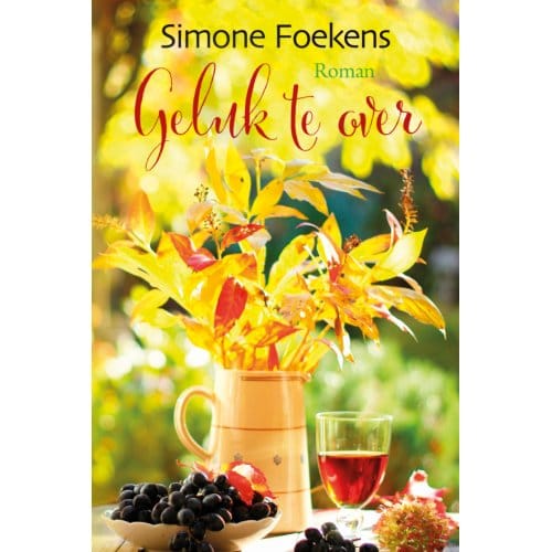 Geluk Te Over - Romanserie - Simone Foekens
