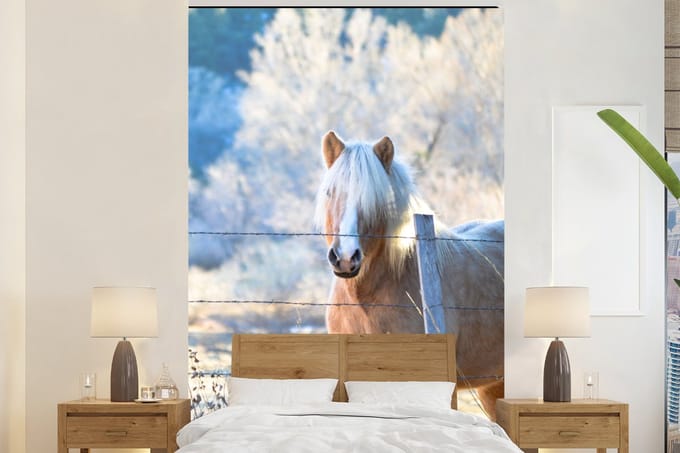 Behang - Fotobehang Paard - Winter - Sneeuw - Breedte 145 cm x hoogte 220 cm