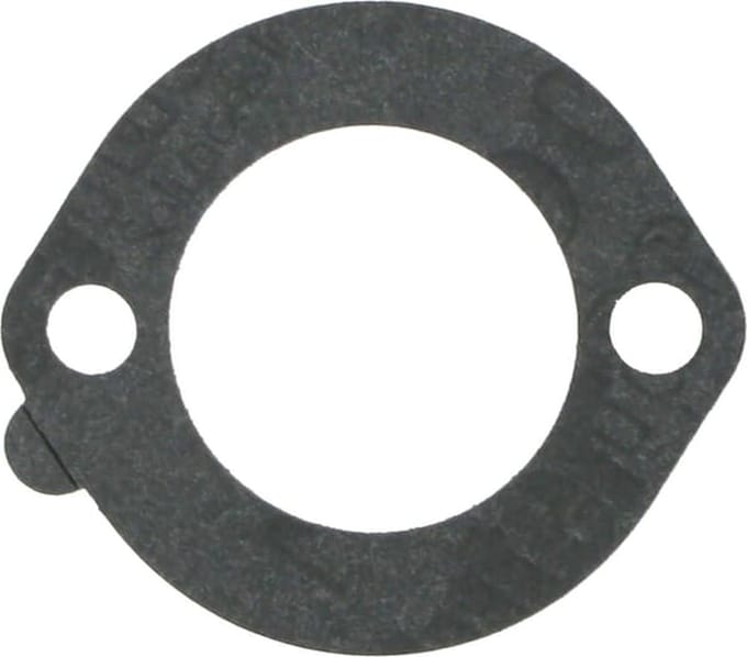 Briggs & stratton filterpakking